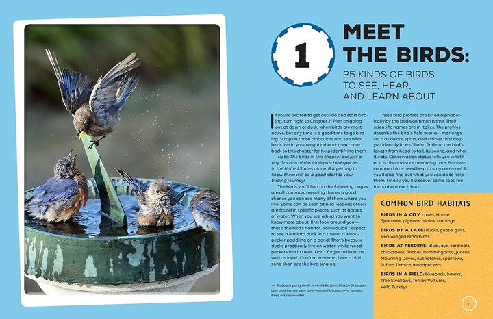 Birding Adventures For Kids