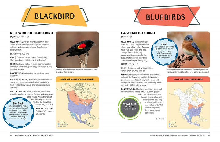 Birding Adventures For Kids
