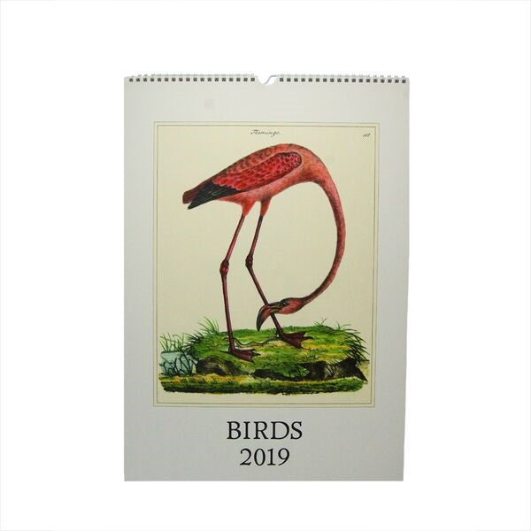 2019 Birds Wall Calendar