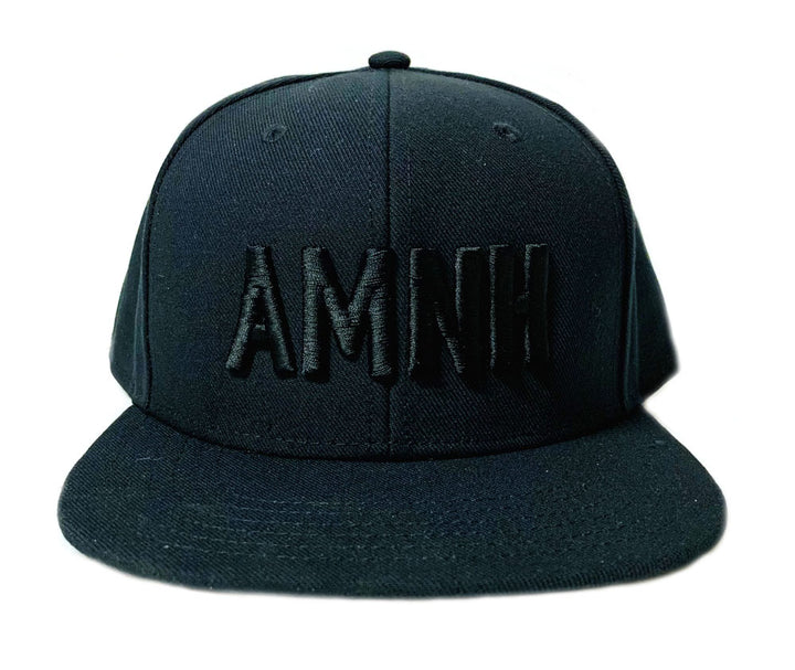 Adult Black Embroidered AMNH Flat Brim Cap
