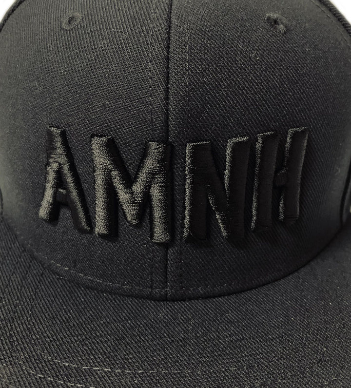 Adult Black Embroidered AMNH Flat Brim Cap
