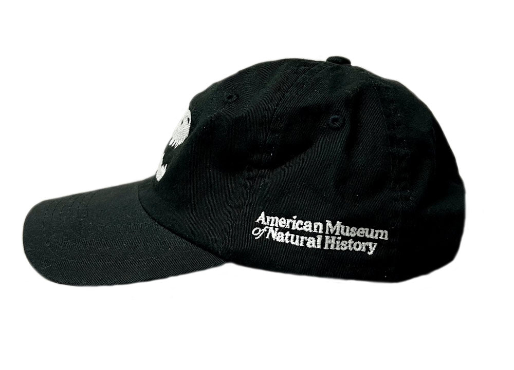 Youth Black Cap with White Glow-In-The-Dark Skull  Side