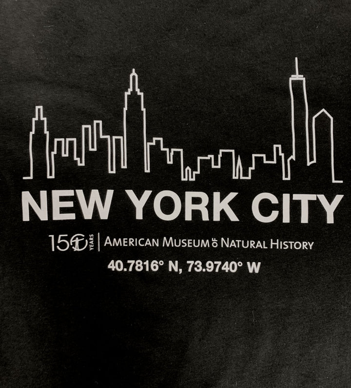 Adult Black Eco-Friendly NYC T-Shirt