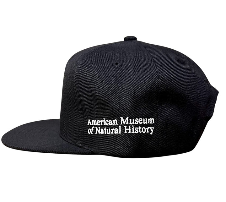 Exclusive AMNH NY Mets Cap