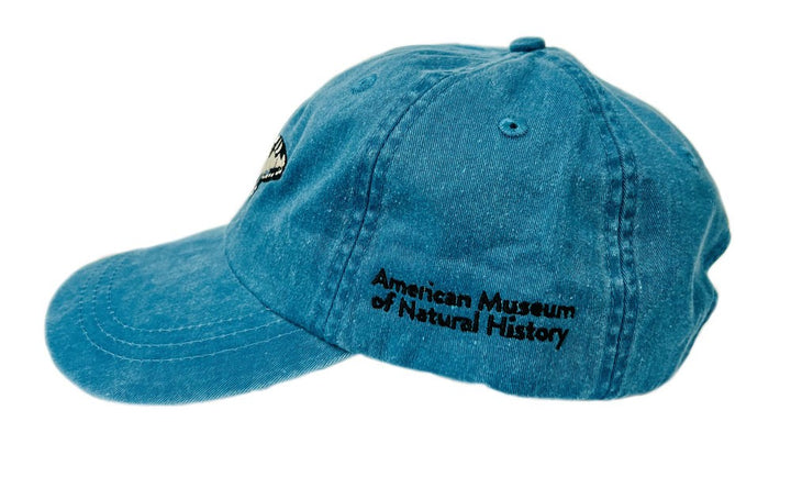 Adult AMNH Embroidered Denim Butterfly Cap