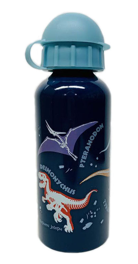 Child's Stainless Steel Dinosaurs Water Bottle