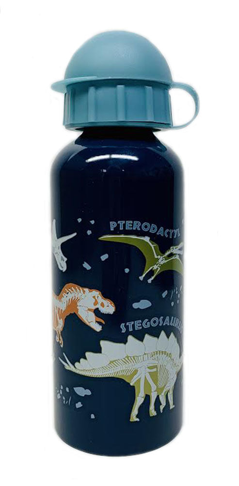 Child's Stainless Steel Dinosaurs Water Bottle