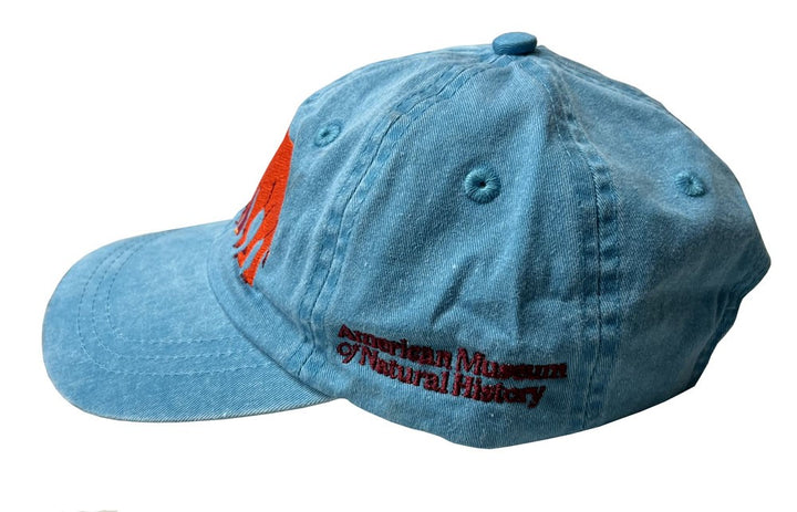 Youth Caribbean Blue Elephants Cap Side