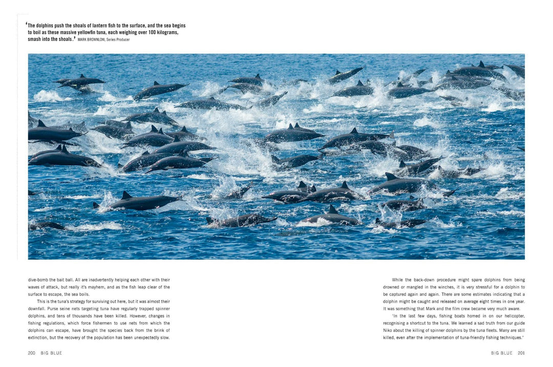 Blue Planet II: A New World of Hidden Depths