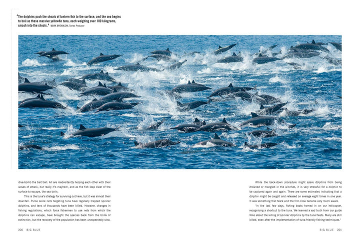 Blue Planet II: A New World of Hidden Depths