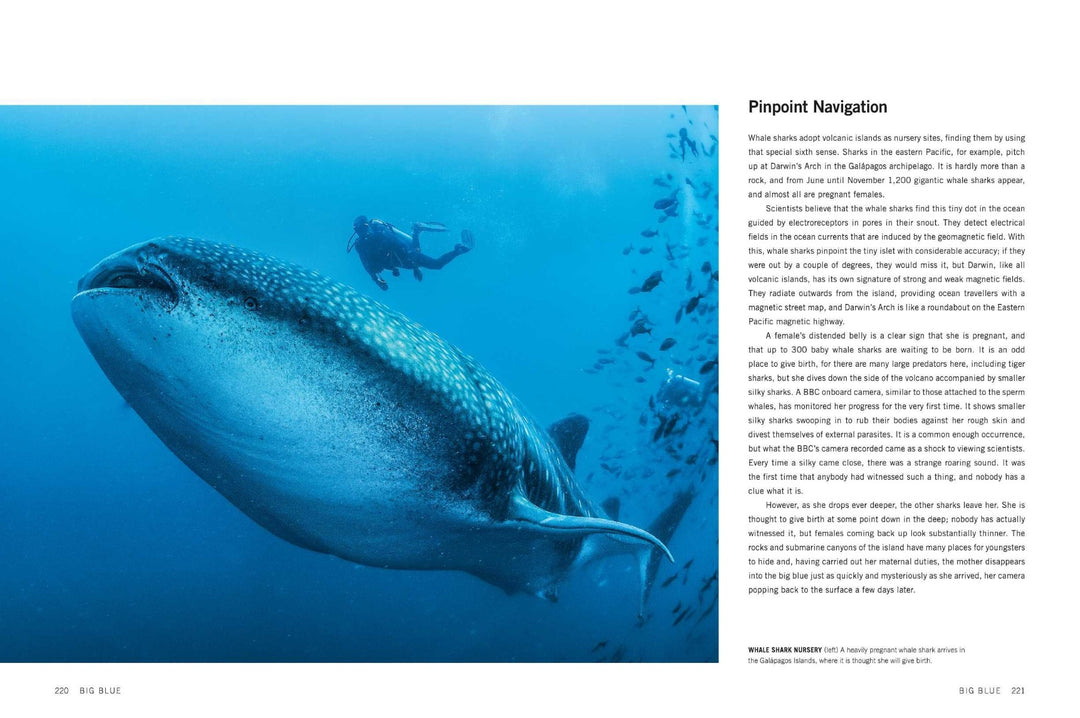 Blue Planet II: A New World of Hidden Depths