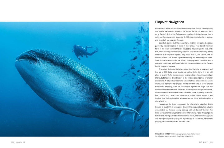 Blue Planet II: A New World of Hidden Depths