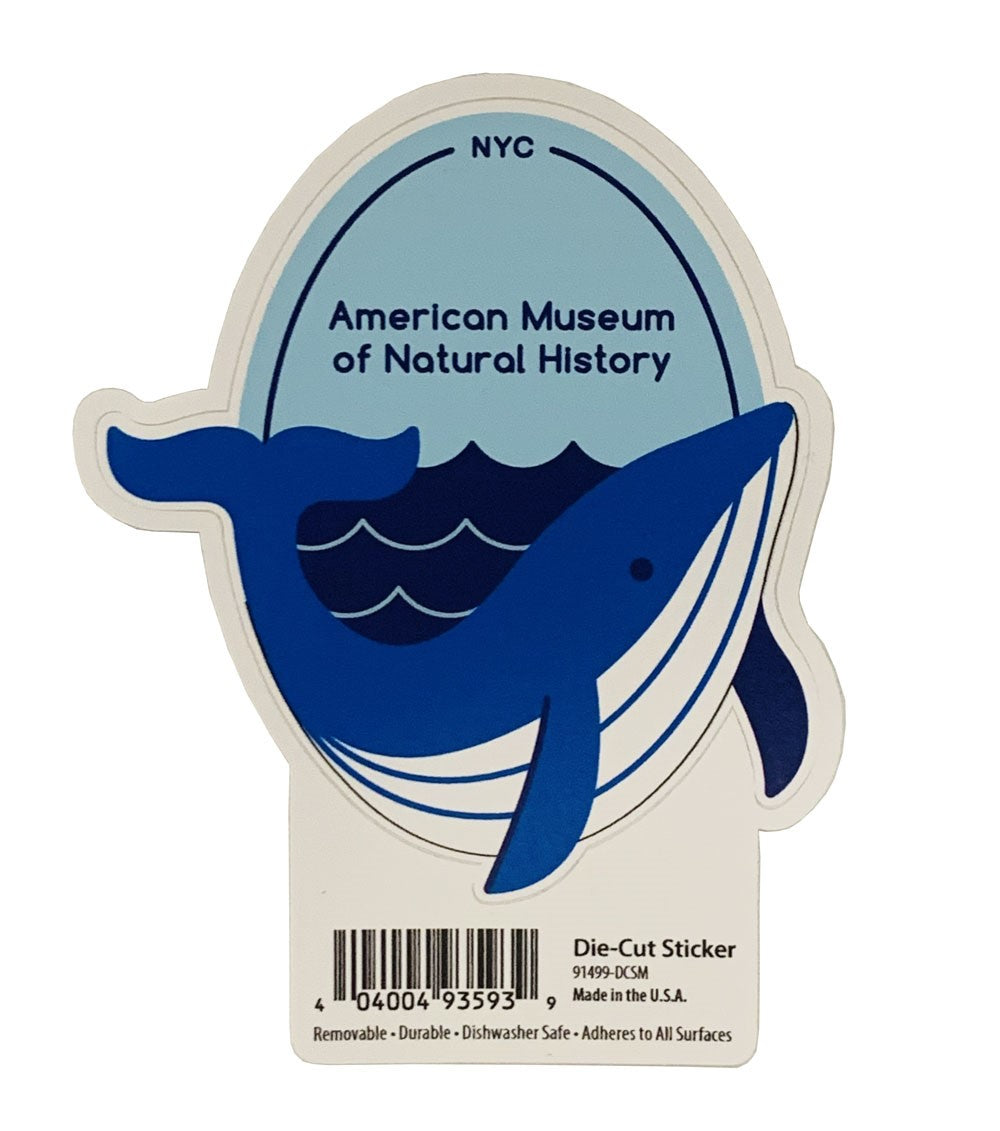 Assorted Vinyl Water Bottle Stickers