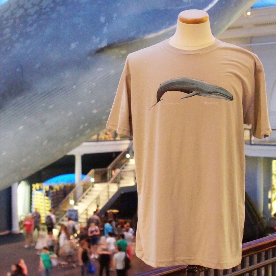 Adult AMNH Vintage Blue Whale T-Shirt