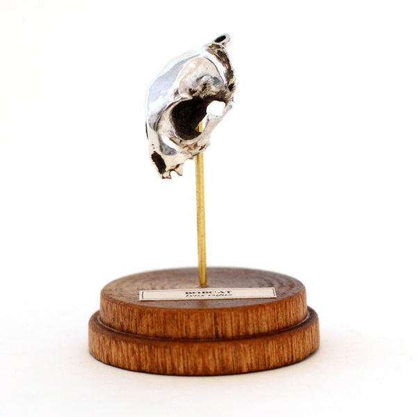 Yellow Bronze Bobcat Skull Necklace & Stand