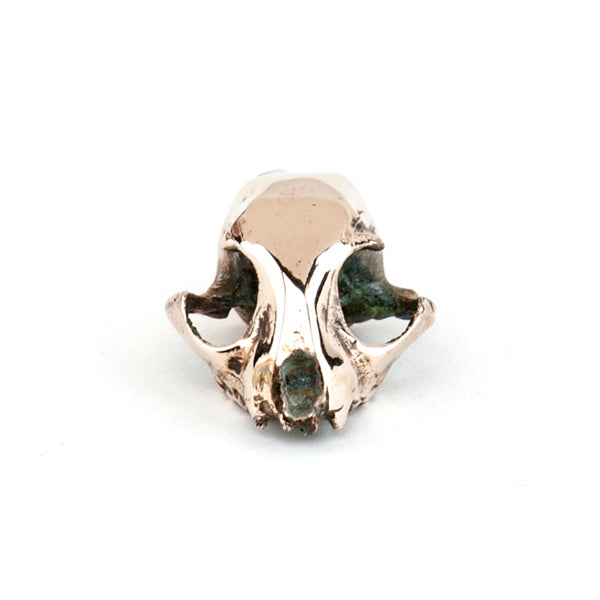 Yellow Bronze Bobcat Skull Necklace & Stand