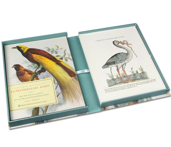 Natural Histories: Extraordinary Birds