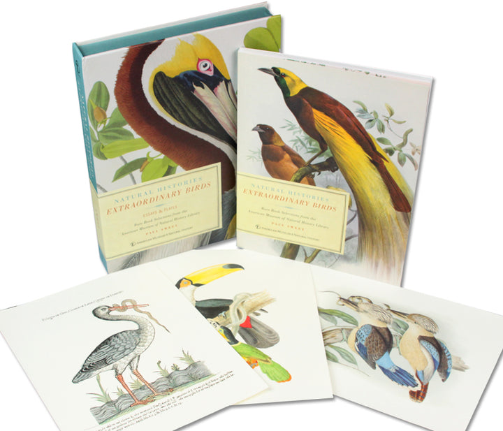 Natural Histories: Extraordinary Birds