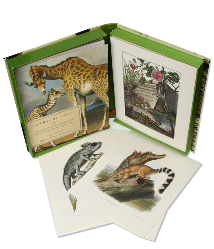 Natural Histories: Extraordinary Rare Book Selections