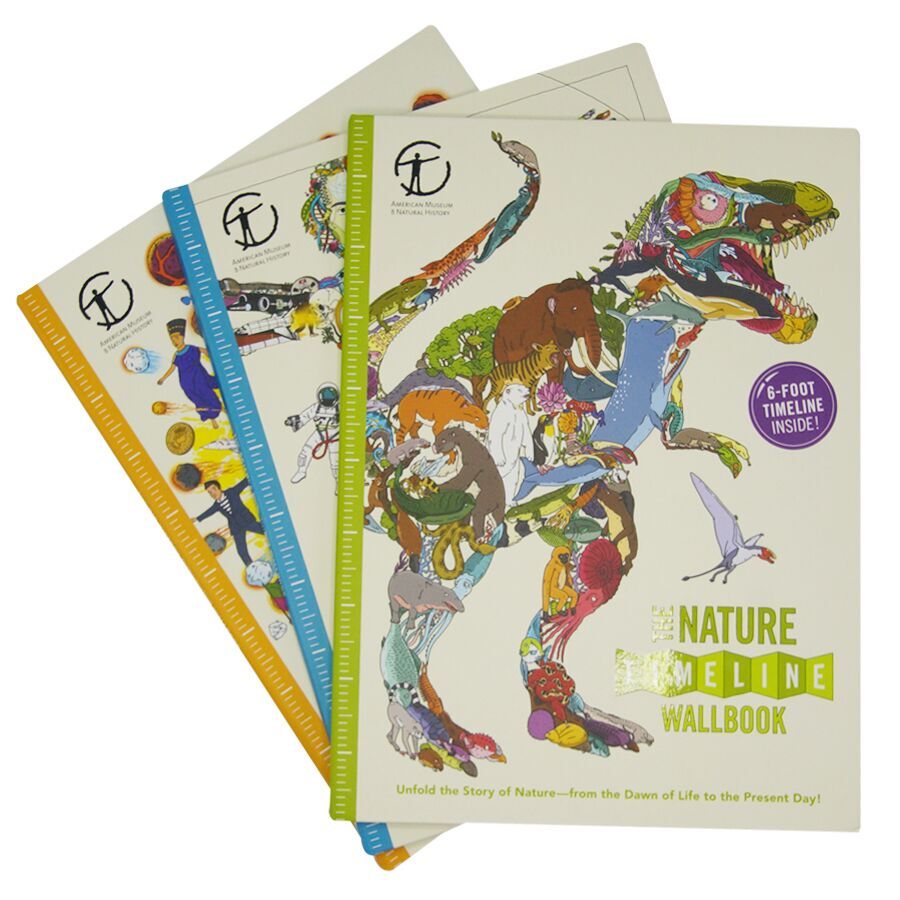 The Big History Timeline Wallbook