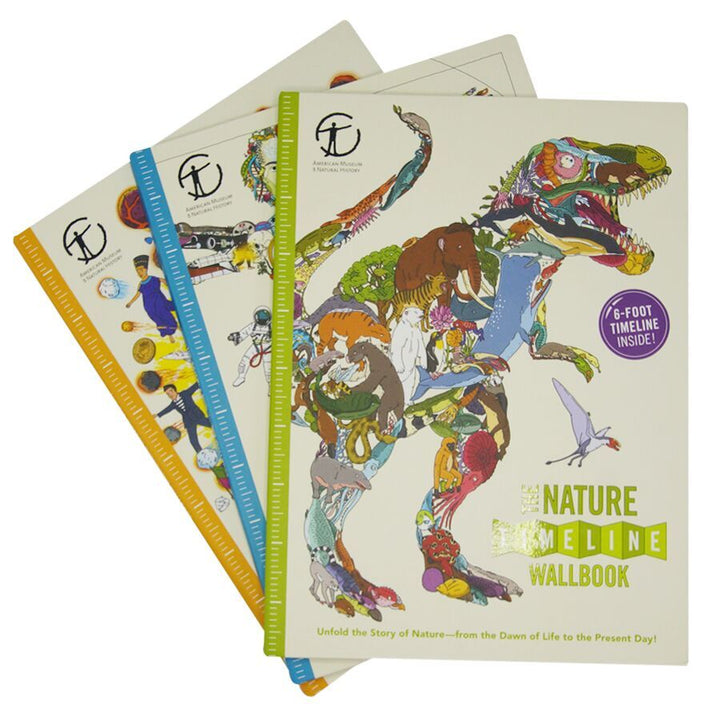 The Big History Timeline Wallbook