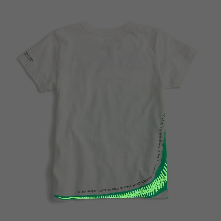 Glow-In-The-Dark Dimetrodon Tee - J.Crew for the American Museum of Natural History