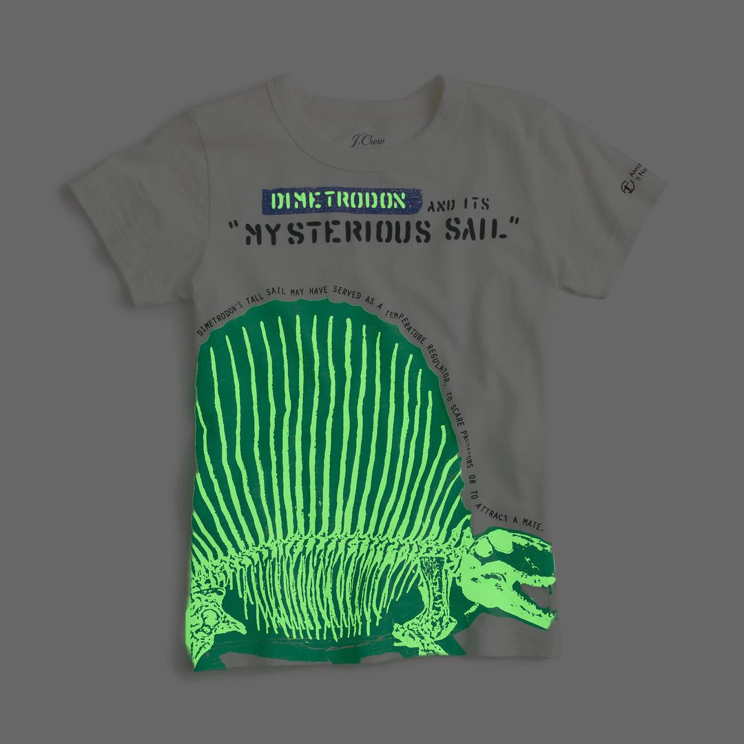 Glow-In-The-Dark Dimetrodon Tee - J.Crew for the American Museum of Natural History