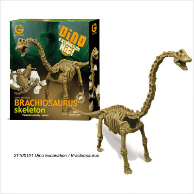 Brachiosaurus Excavation Kit