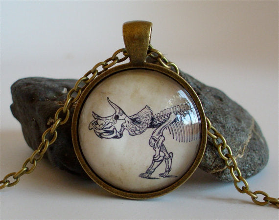 Triceratops Fossil Necklace