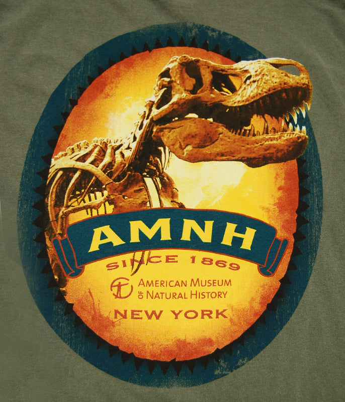 Men's T. Rex AMNH New York Tee