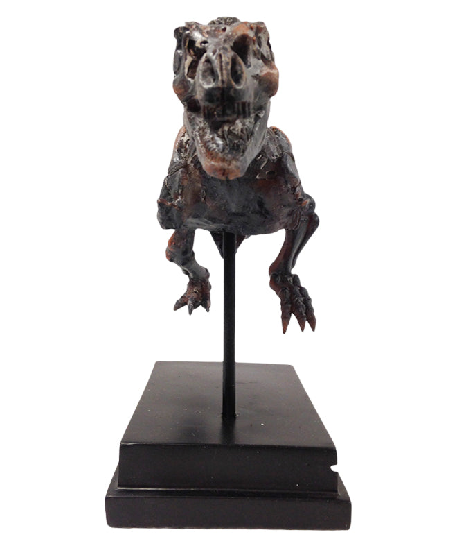 Bronze T. Rex Fossil Statue