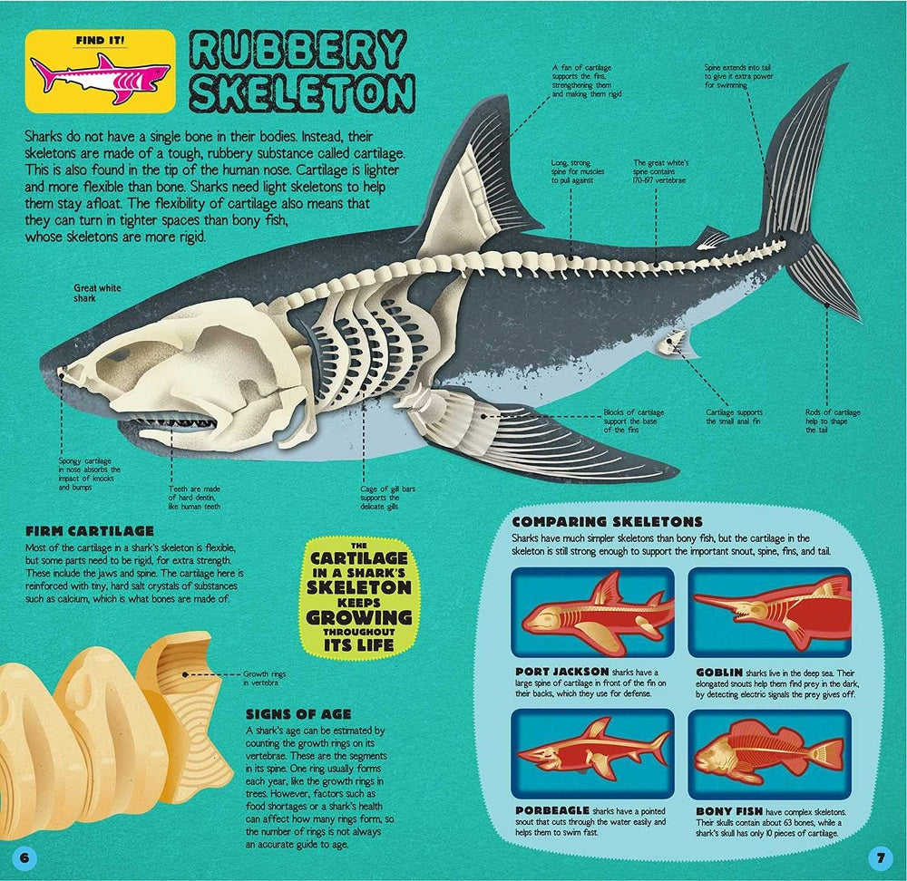 Discovery Build The Shark Kit