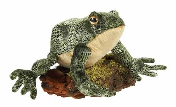 Plush Bull frog