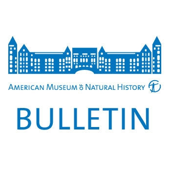 B317 (2009)  Revision and Cladistic Analysis of the Orbweaving Spider Genus Cyrtognatha Keyserling, 1881