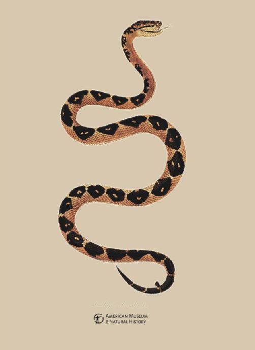 Men's Bushmaster Tee