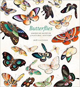 AMNH 2018 Butterflies Wall Calendar