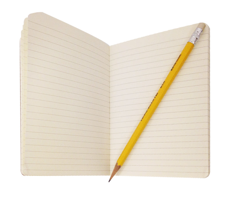 Butterflies Papiliones Journal