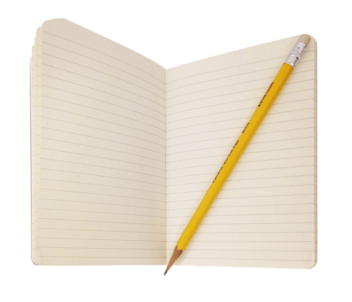 Butterflies Papiliones Journal