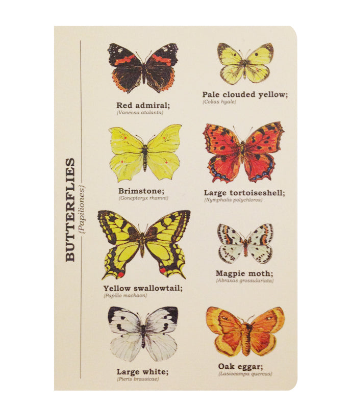 Butterflies Papiliones Journal