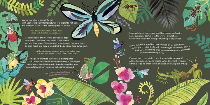 Exploring Insects page