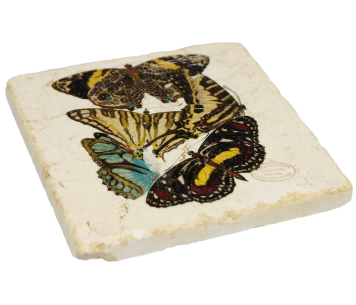 Butterfly Coaster