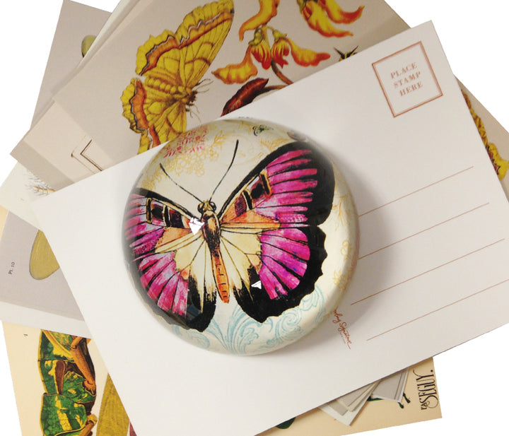 Butterfly Paperweight