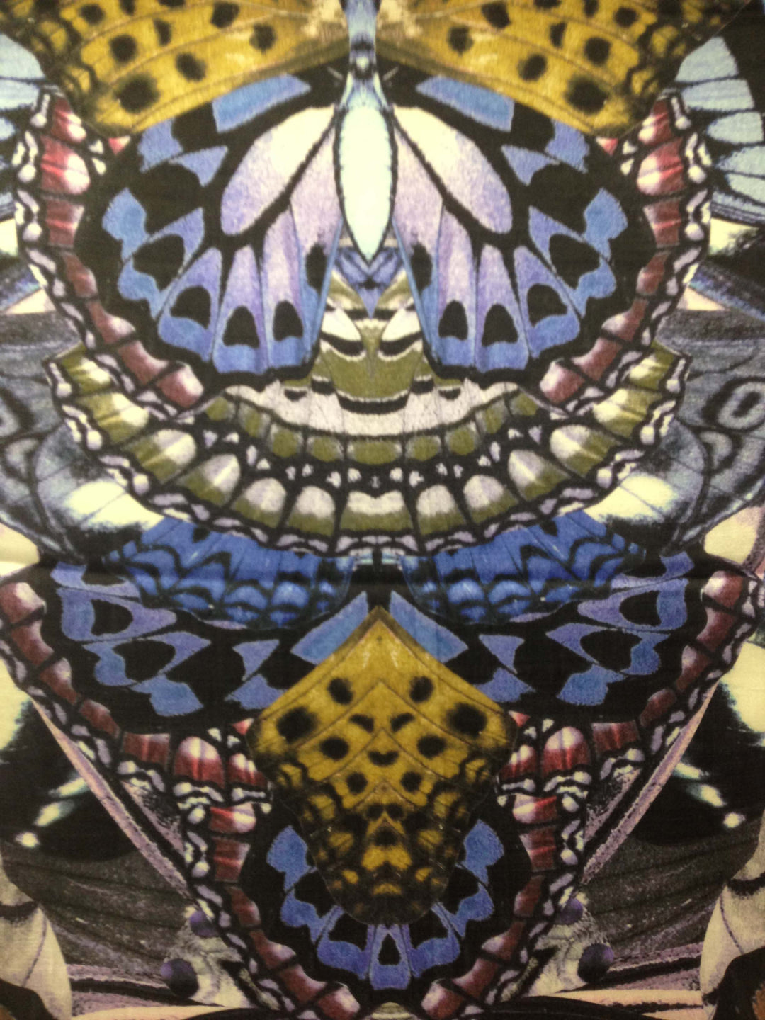 Butterfly Wings Scarf