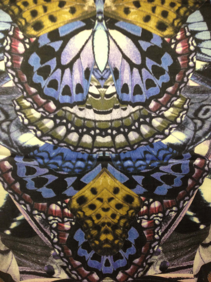 Butterfly Wings Scarf