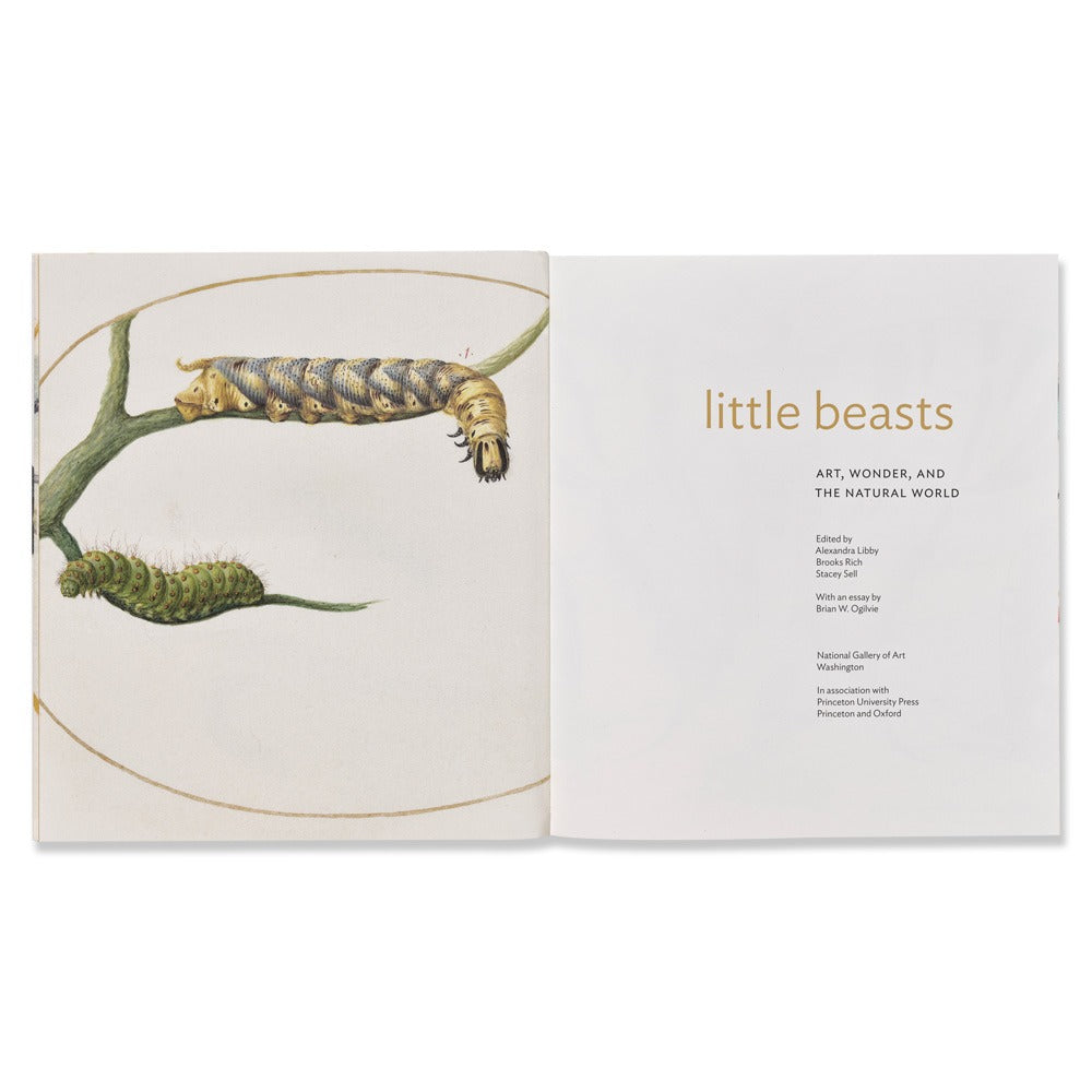 Little Beasts: Art, Wonder, and the Natural World