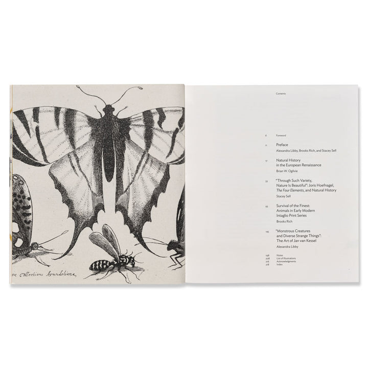 Little Beasts: Art, Wonder, and the Natural World