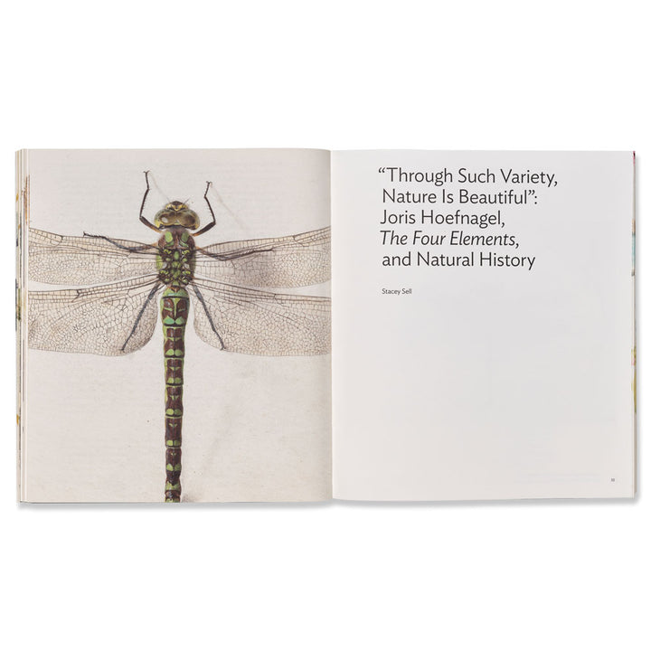 Little Beasts: Art, Wonder, and the Natural World