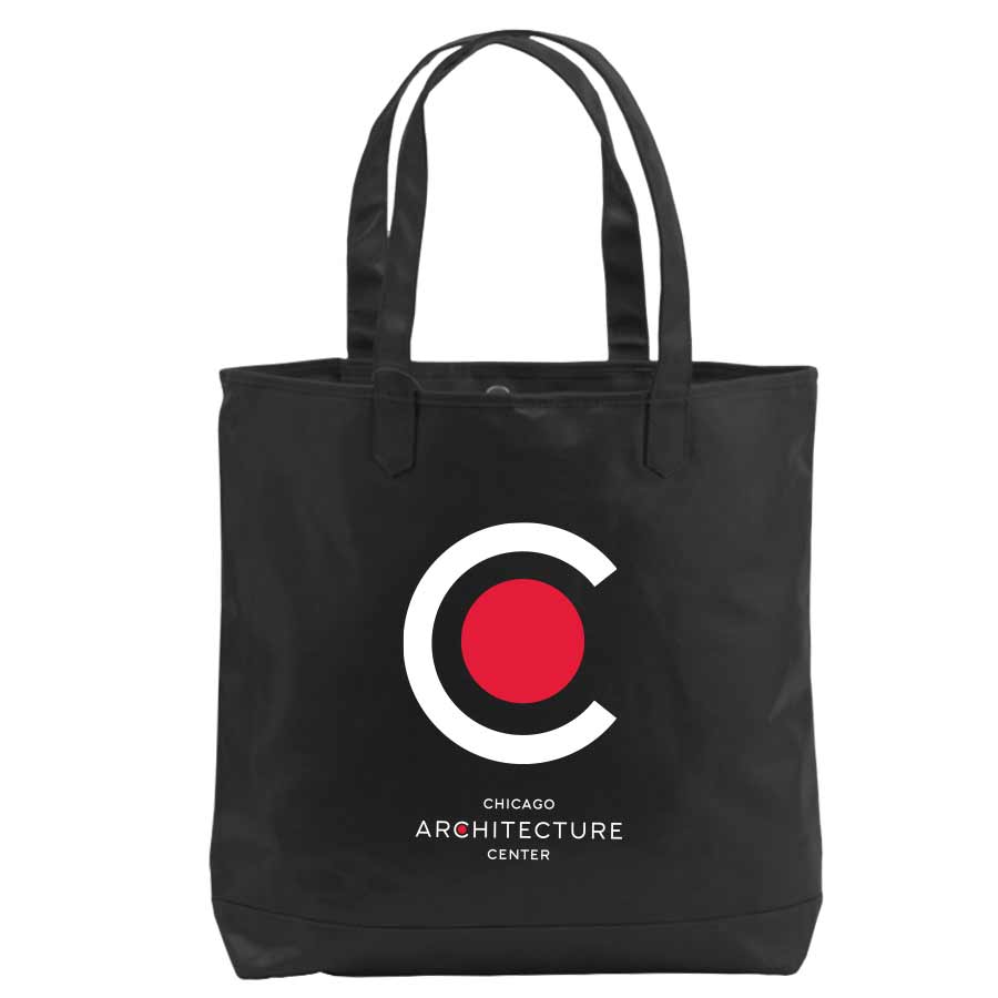 Triceratops Skull Model