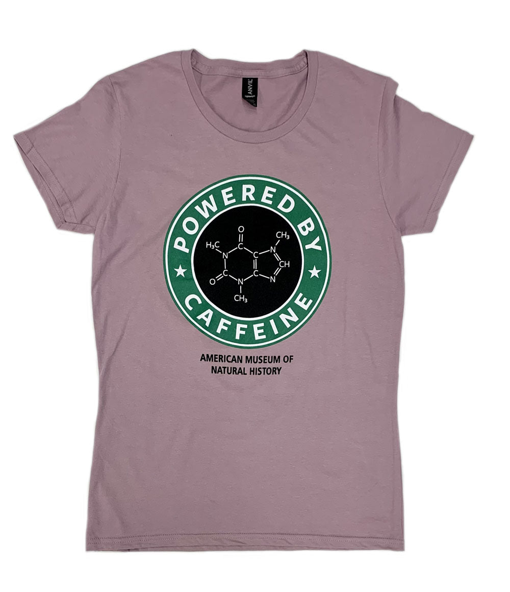 Tyrannosaurus Rex Skull