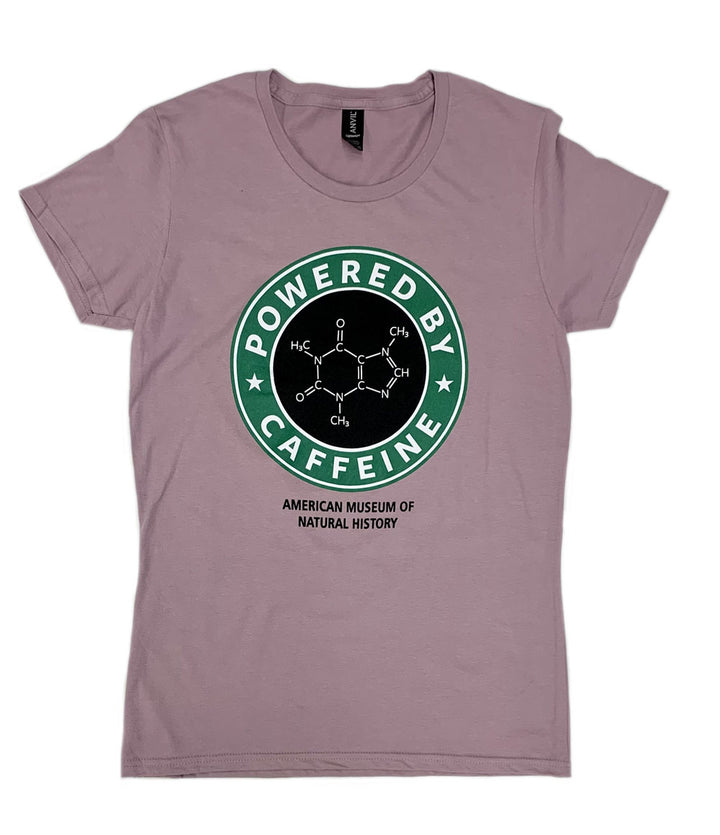 Tyrannosaurus Rex Skull